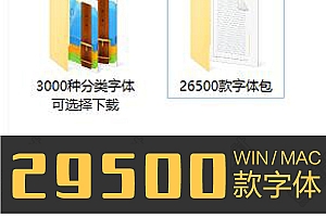 29500款字体