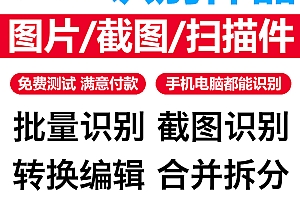 【修正版】文字识别工具开源版V5.0.0