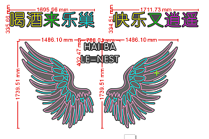 20250106天使的翅膀